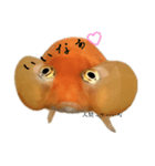 金魚のヒスイちゃん（個別スタンプ：21）