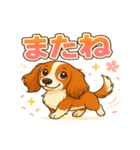 ほっとひとこと。ダックス便り（個別スタンプ：24）