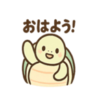 ゆるかわカメの日常スタンプ（個別スタンプ：1）
