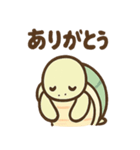ゆるかわカメの日常スタンプ（個別スタンプ：12）