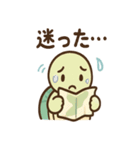 ゆるかわカメの日常スタンプ（個別スタンプ：30）