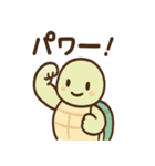 ゆるかわカメの日常スタンプ（個別スタンプ：31）