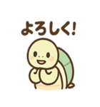 ゆるかわカメの日常スタンプ（個別スタンプ：34）