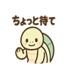 ゆるかわカメの日常スタンプ（個別スタンプ：37）
