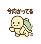 ゆるかわカメの日常スタンプ（個別スタンプ：38）