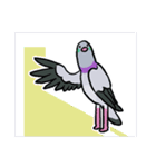 鳩にはトラブル無用5 (2025 LET'S DRAW)（個別スタンプ：4）
