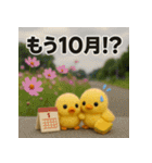 ふわふわひよこ(10月)40個セット（個別スタンプ：1）