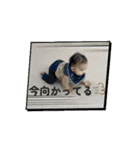 朱師1（個別スタンプ：15）