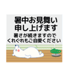 夏のスタンプ 暑中見舞い/大人のきづかい（個別スタンプ：5）