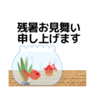夏のスタンプ 暑中見舞い/大人のきづかい（個別スタンプ：17）