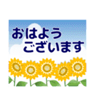 夏のスタンプ 暑中見舞い/大人のきづかい（個別スタンプ：30）