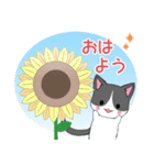ちびにゃんこ18【夏】（個別スタンプ：1）