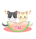ちびにゃんこ18【夏】（個別スタンプ：4）