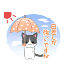 ちびにゃんこ18【夏】（個別スタンプ：18）