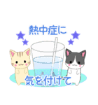 ちびにゃんこ18【夏】（個別スタンプ：21）