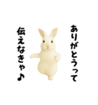 エッホエッホうさぎ（個別スタンプ：5）