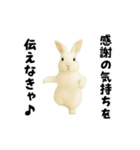 エッホエッホうさぎ（個別スタンプ：6）