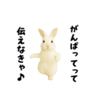 エッホエッホうさぎ（個別スタンプ：13）