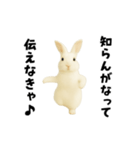 エッホエッホうさぎ（個別スタンプ：15）