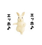 エッホエッホうさぎ（個別スタンプ：22）