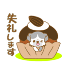 【犬屋】うちの子1番(チベタン)⑤（個別スタンプ：5）