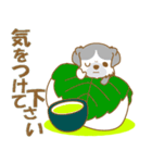 【犬屋】うちの子1番(チベタン)⑤（個別スタンプ：24）