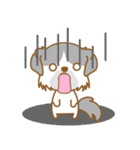 【犬屋】うちの子1番(チベタン)⑤（個別スタンプ：30）