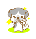 【犬屋】うちの子1番(チベタン)⑤（個別スタンプ：36）