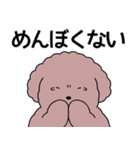 中年太りのトイプードル6【家族連絡用】（個別スタンプ：10）