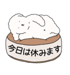 中年太りのトイプードル6【家族連絡用】（個別スタンプ：11）
