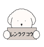 中年太りのトイプードル6【家族連絡用】（個別スタンプ：14）
