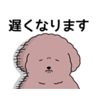 中年太りのトイプードル6【家族連絡用】（個別スタンプ：15）