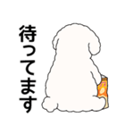 中年太りのトイプードル6【家族連絡用】（個別スタンプ：18）