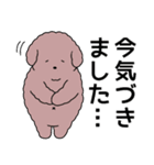中年太りのトイプードル6【家族連絡用】（個別スタンプ：27）