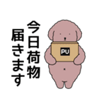 中年太りのトイプードル6【家族連絡用】（個別スタンプ：29）
