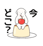 中年太りのトイプードル6【家族連絡用】（個別スタンプ：30）