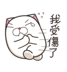 モチちゃんぽっちゃり 6 (台湾版)（個別スタンプ：13）