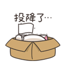 モチちゃんぽっちゃり 6 (台湾版)（個別スタンプ：18）
