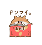 毎日使う！癒しのだらしなうさぎと仲間たち（個別スタンプ：25）