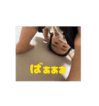 推しスタンプ24（個別スタンプ：1）