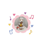 推しスタンプ24（個別スタンプ：12）