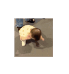 うごくハルきゅんスタンプ①（個別スタンプ：1）