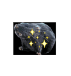 animal999（個別スタンプ：6）