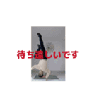 OOKAWA.AI.MOVE（個別スタンプ：2）