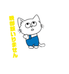 アキのネコ太くん(晩御飯いりません)（個別スタンプ：8）