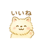 サモエド？！犬 日本語（個別スタンプ：7）