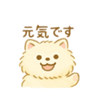 サモエド？！犬 日本語（個別スタンプ：9）