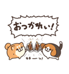 ボンレス犬 夏（個別スタンプ：5）