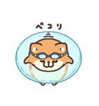 ボンレス犬 夏（個別スタンプ：8）