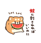 ボンレス犬 夏（個別スタンプ：16）